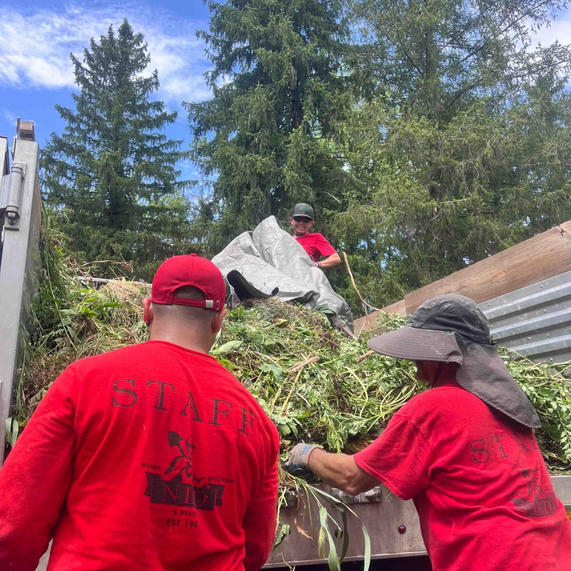 Doylestown, PA Landscape Maintenance Services
