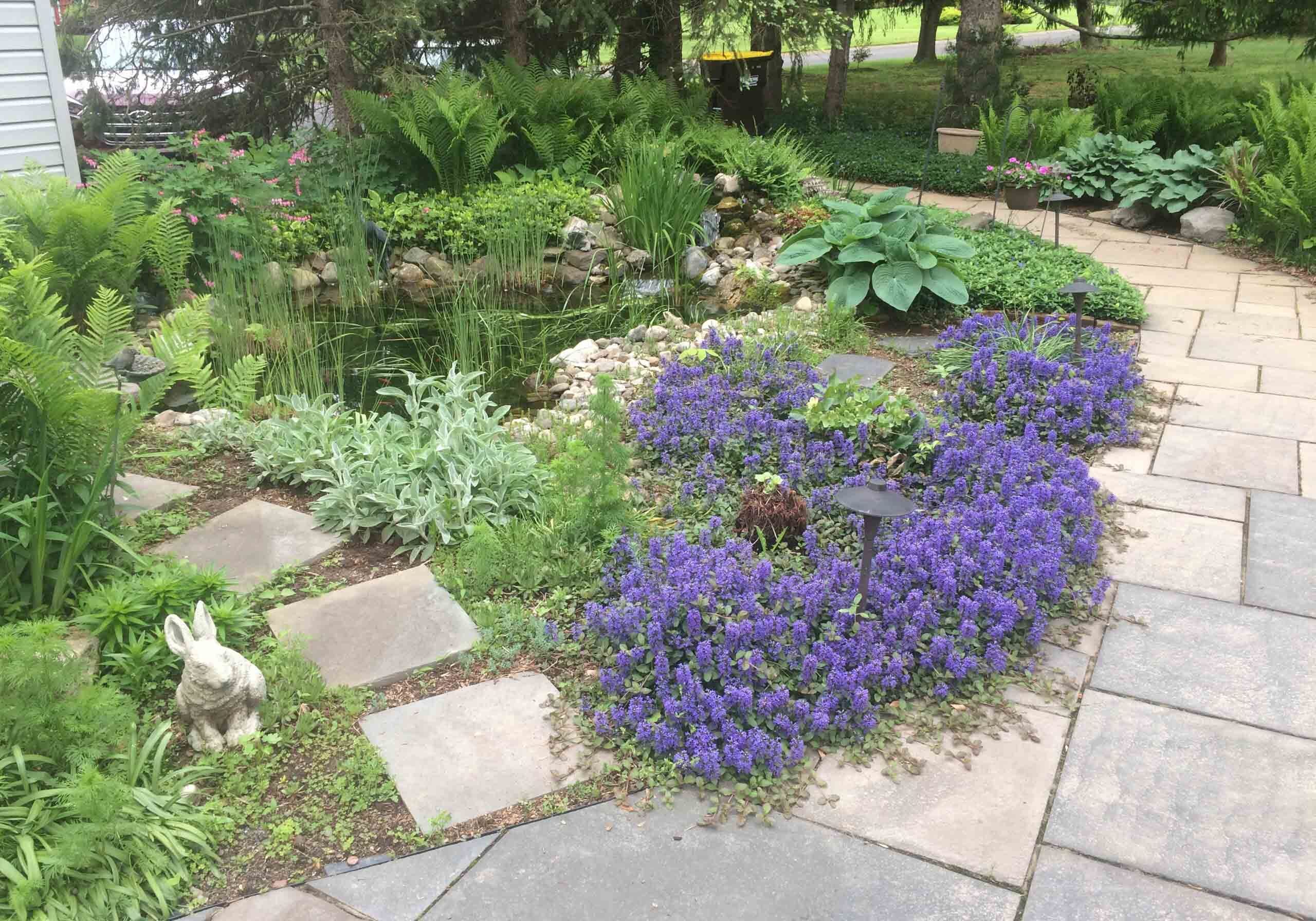 Doylestown, PA Landscaping Services Company