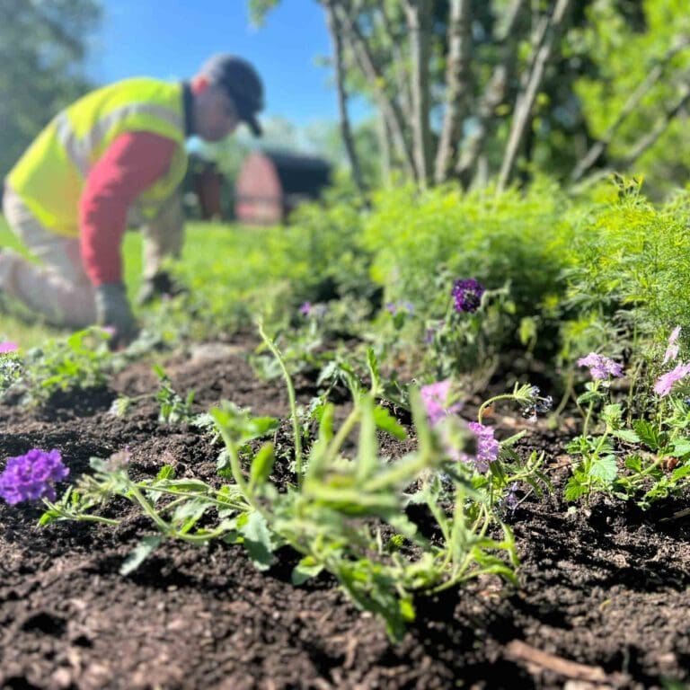 Doylestown, PA Landscaping Services Company