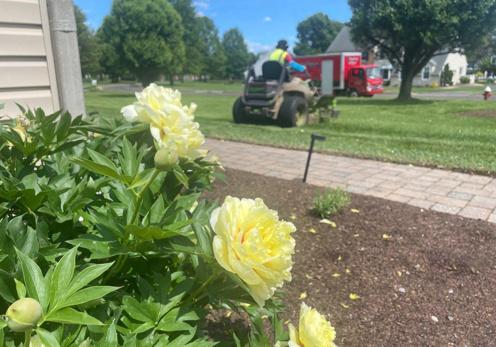 Doylestown, PA Landscape Maintenance Services